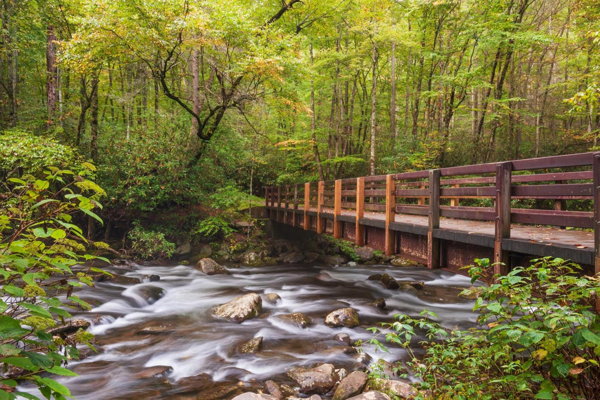 Glori'S Retreat, Game Room, 1089 Of Free Attraction Tickets For Each Paid Day, Dollywood And More Pigeon Forge Eksteriør billede
